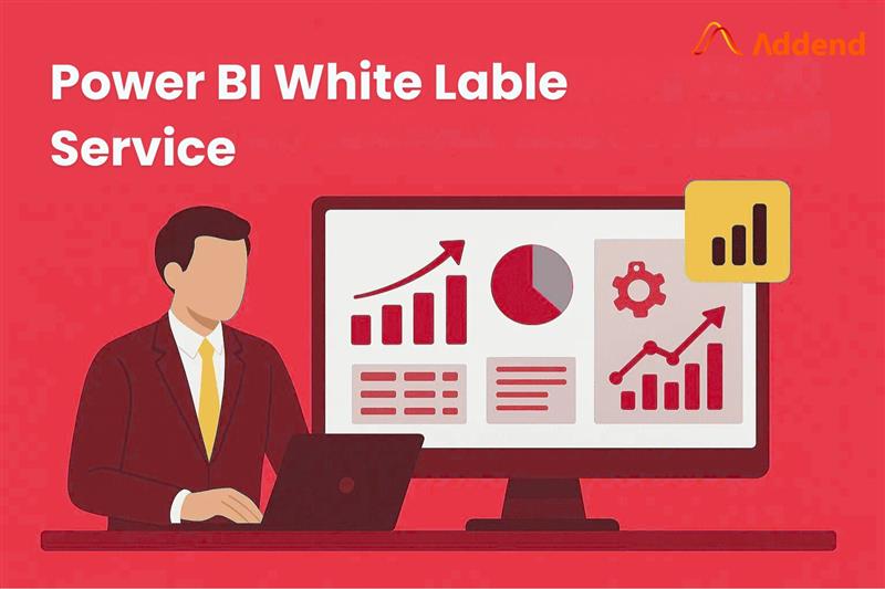 Power Bi White Label Services