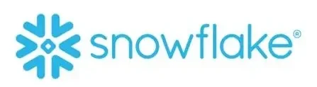 Snowflake partner